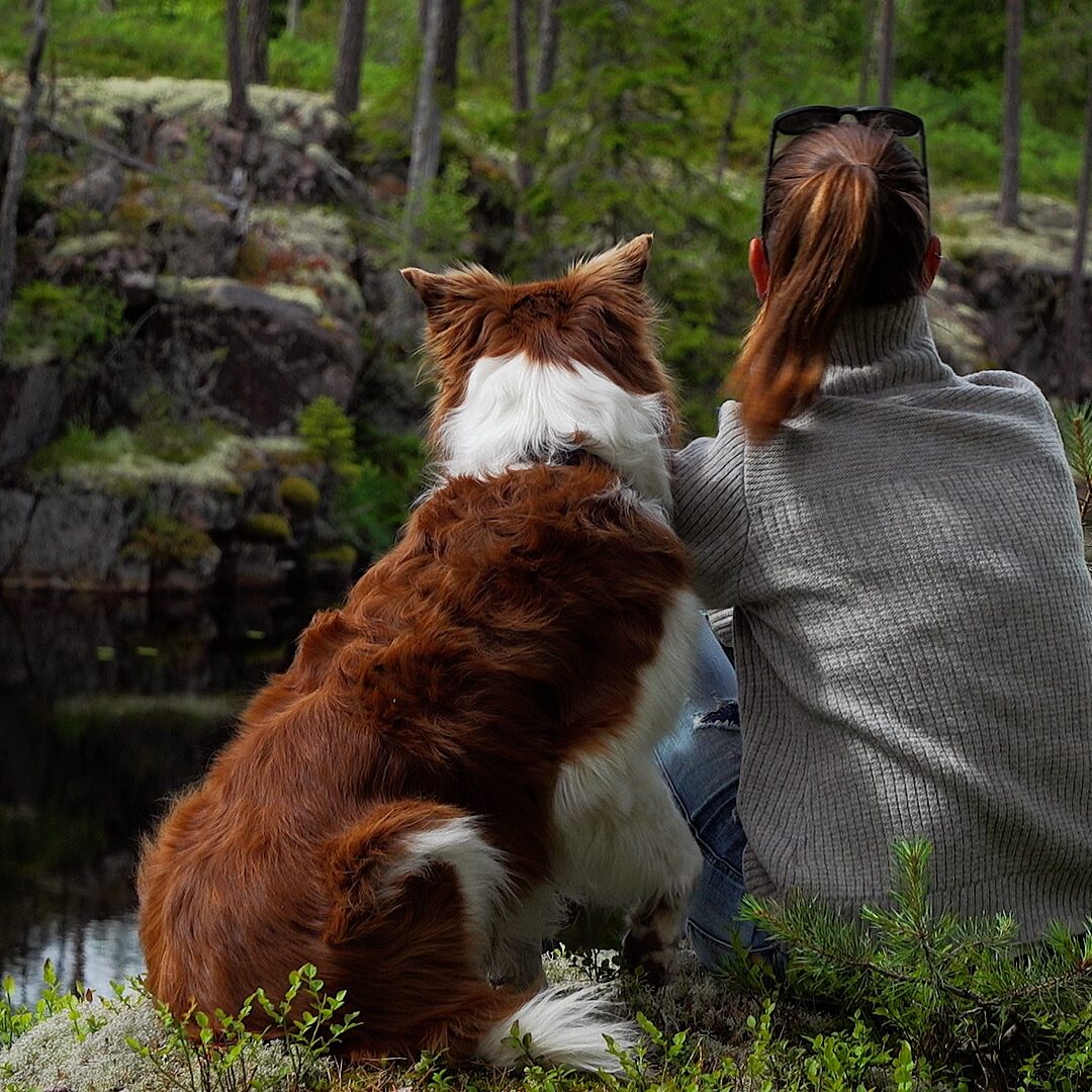 Skogsbad och mindfullness med hund Matilda Ström Naturnära